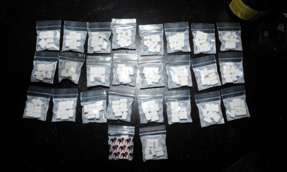 Une nouvelle équipe pour la Régie intermunicipale de police Roussillon