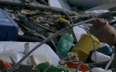 Une corvée de nettoyage pour le Jour de la Terre à Varennes