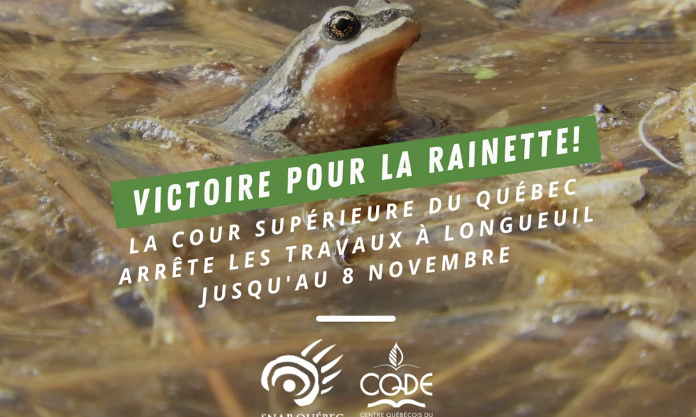 Les travaux du boulevard Béliveau à Longueuil sont suspendus