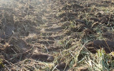 Terrain avec traces de tracteur