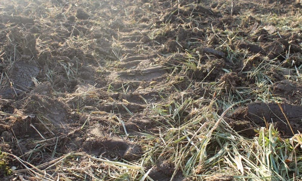 Terrain avec traces de tracteur