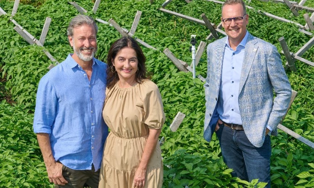 IGA devient partenaire majoritaire de RICARDO Média