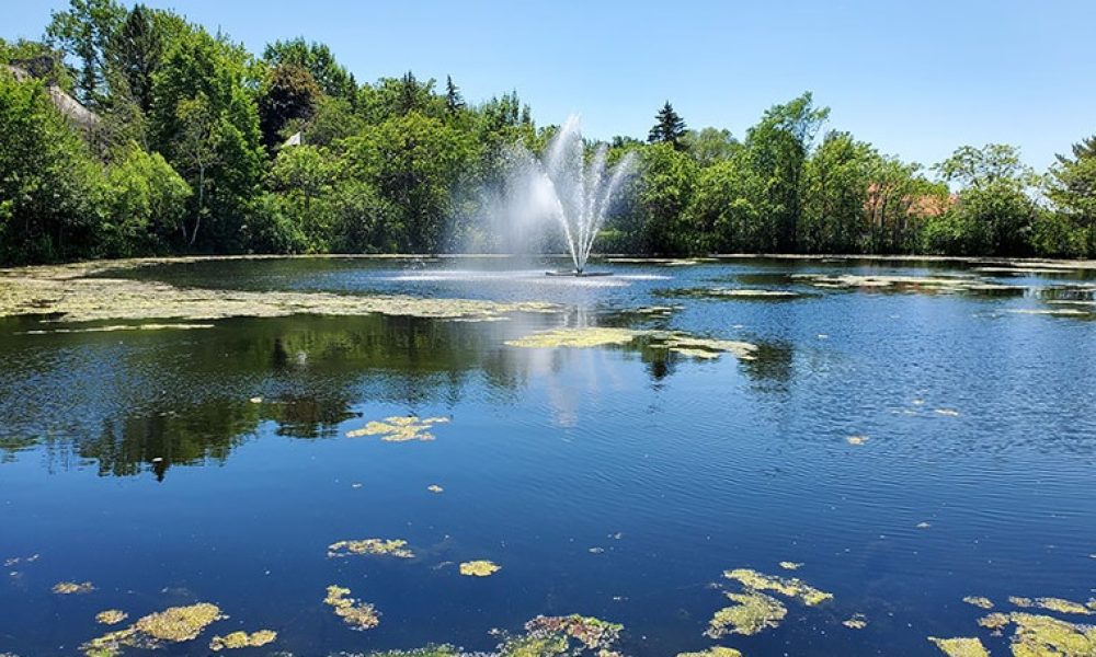 100 premiers jours : l’harmonie règne à Saint-Bruno