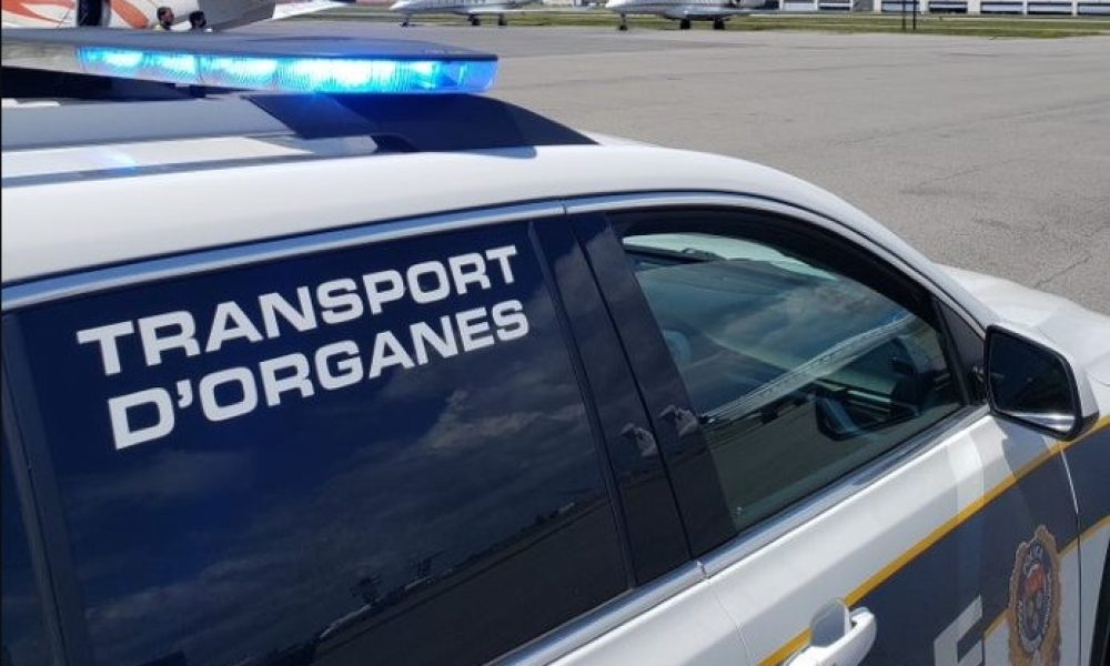 Photo: Facebook SPAL