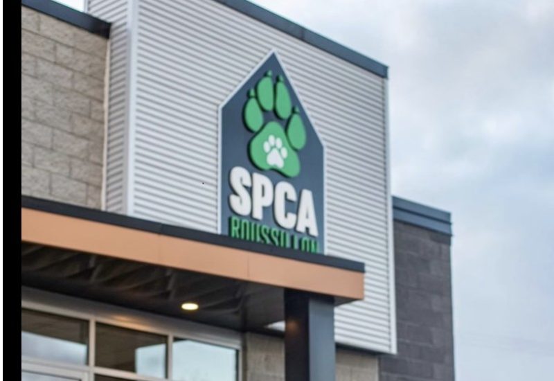 Un chien possiblement agressif devra être évalué à Beloeil