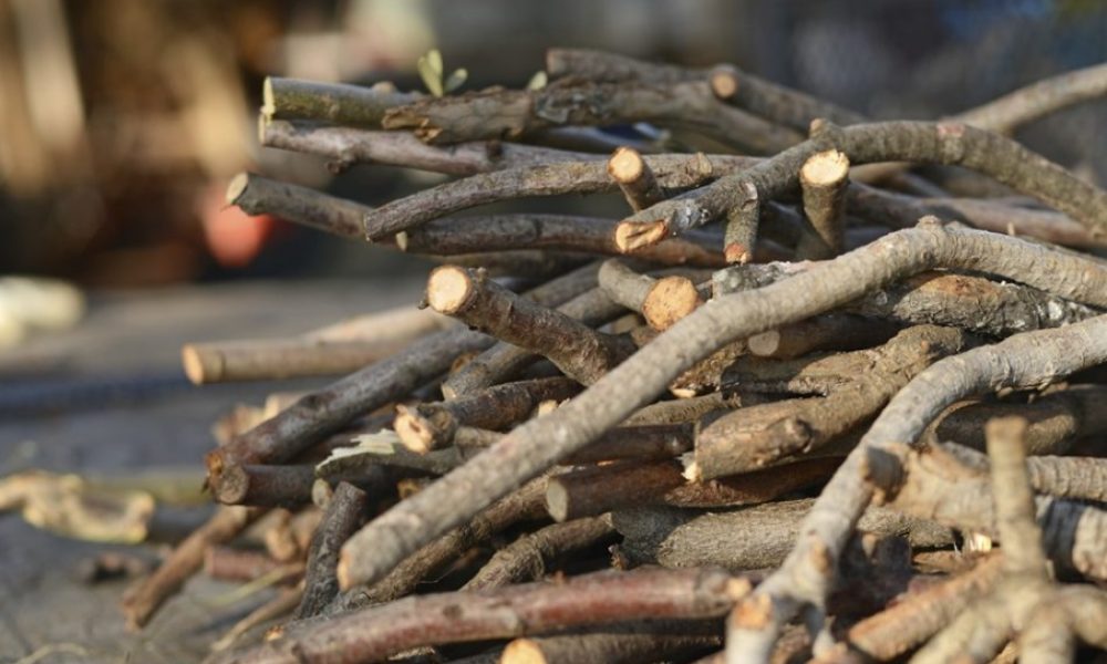 Photo : Site web de la Ville de Saint-Bruno-de-Montarville