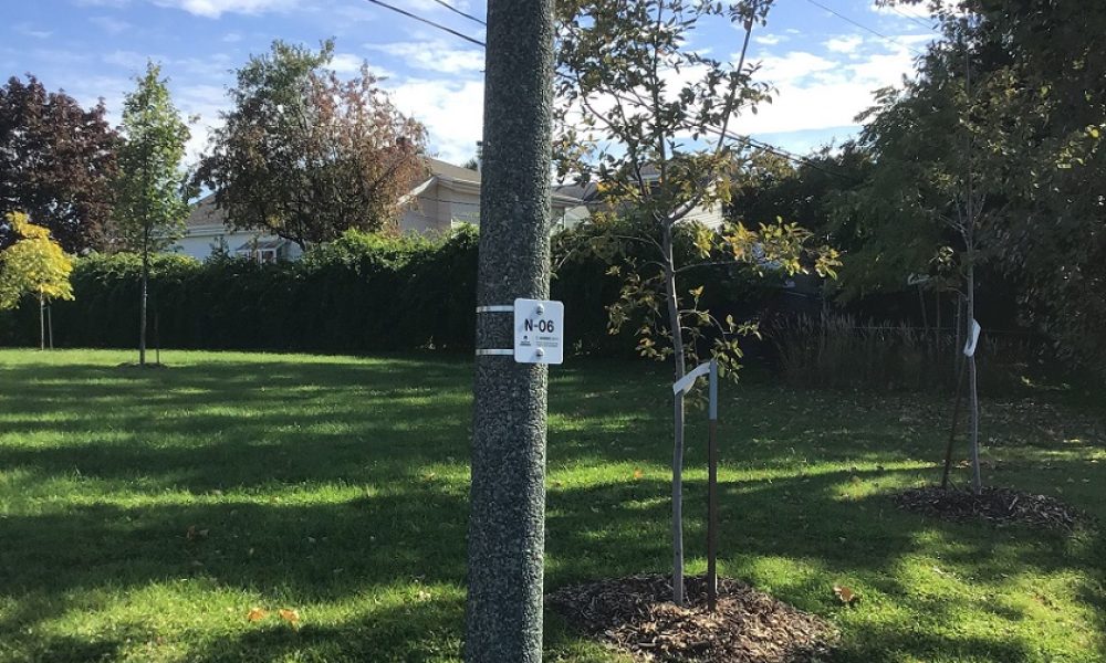 Photo : Ville de Sainte-Julie