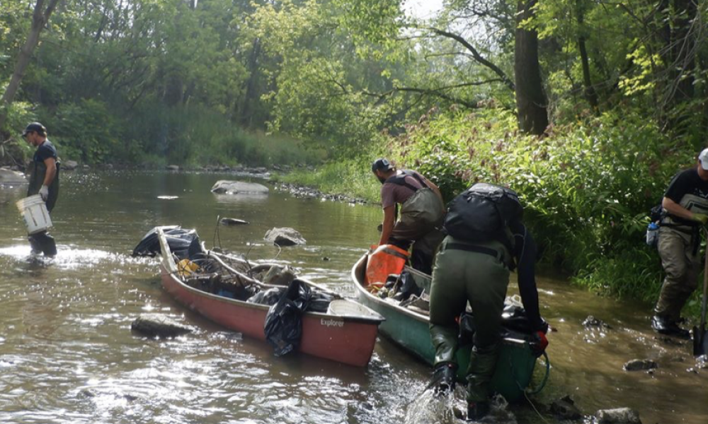 Rivière de la Tortue