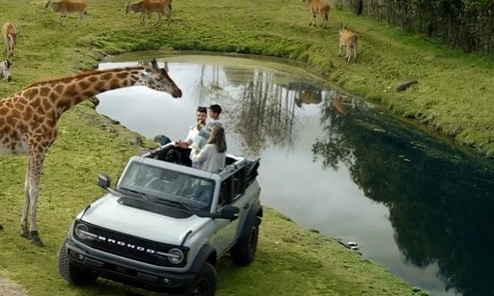 Une campagne réussie pour Tourisme Montérégie