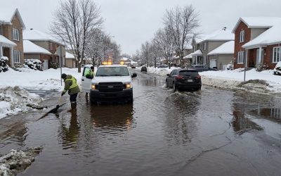 Photo : générée par Gemini