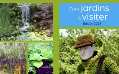 VG-Delson Horticulture (1)