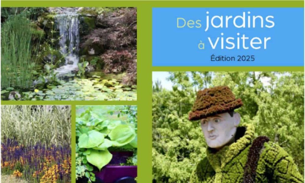 VG-Delson Horticulture (1)