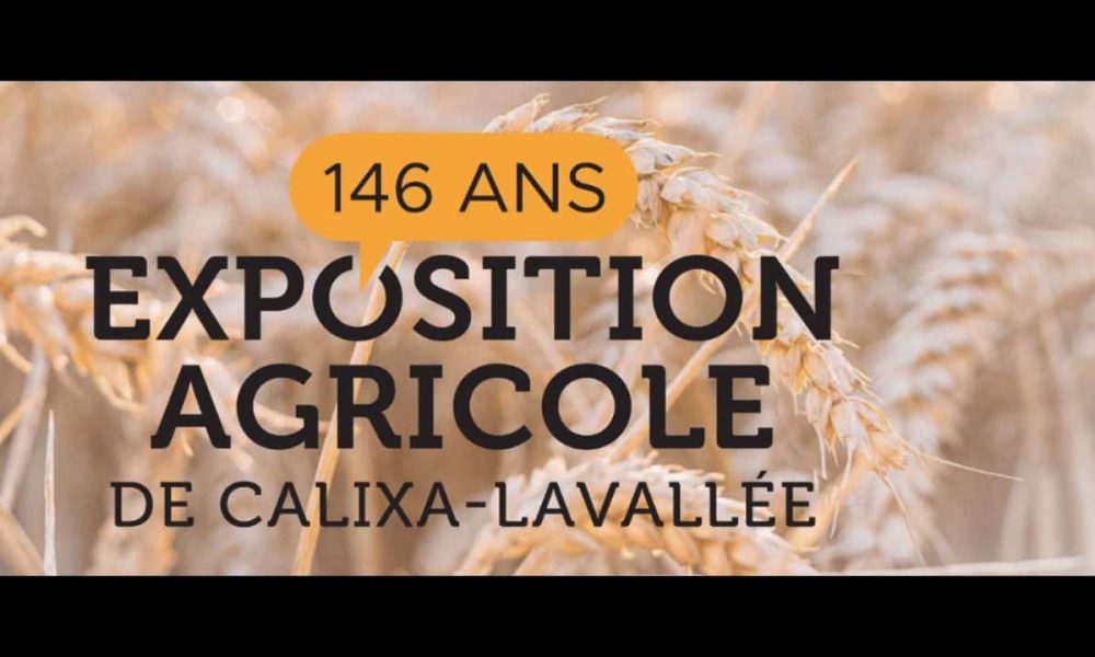 Photo : Capture d'écran