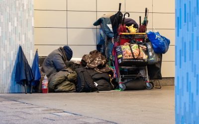 itinérance,ressources,adaptées,réalité,terrain,défis,complexes,micro,coordonnateur,certains,animaux,problèmes,santé,mentale,interventions,équipes,soutien