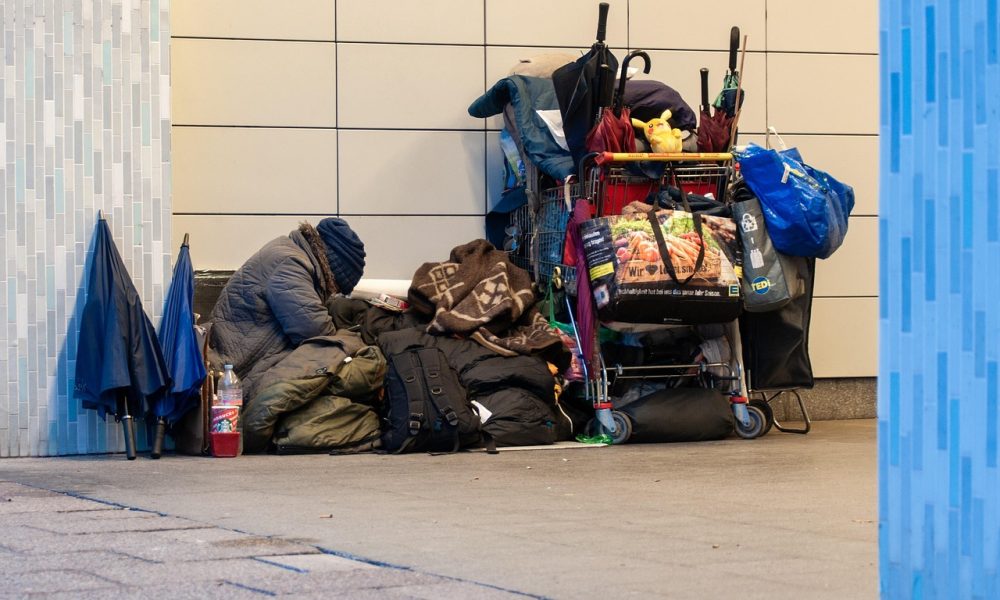 itinérance,ressources,adaptées,réalité,terrain,défis,complexes,micro,coordonnateur,certains,animaux,problèmes,santé,mentale,interventions,équipes,soutien