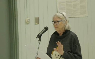 rue,manoir,élus,enjeux,secteur,sécurité,chaussée,circulation,stationnement,passage,unique,comité,analyse,périlleuse