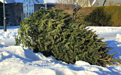 VG stat ecocentre La Prairie