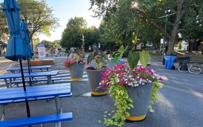 La Zone festive à Longueuil a besoin d’amélioration