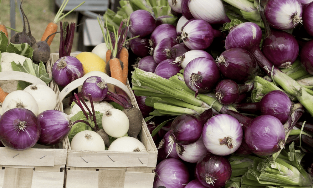 Lancement d’un projet pilote pour soutenir l’achat local