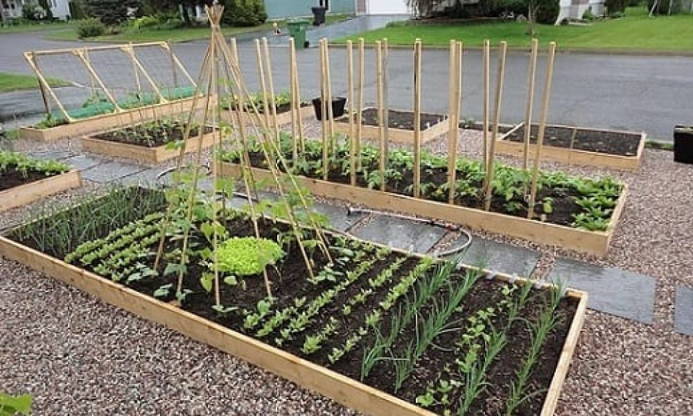 Brossard Uni promet de développer l’agriculture urbaine