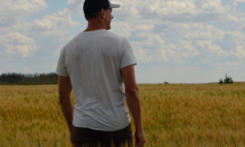 Plus de 2 000 agriculteurs étrangers ne peuvent travailler en Montérégie