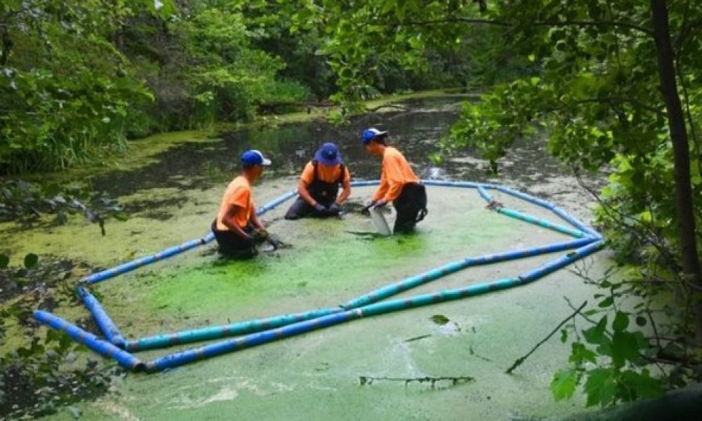 Des embarcations sur les lacs de Saint-Bruno pour des analyses