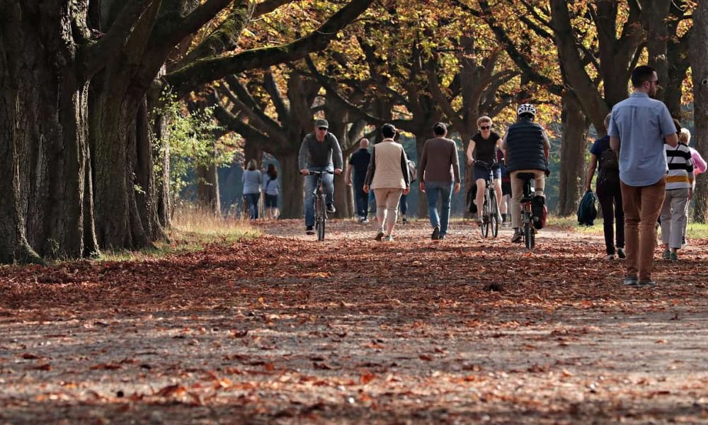 Saint-Bruno va de l’avant avec son parc Éphémère 