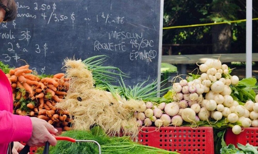 Marché fermier éphémère dans chaque arrondissement à Longueuil