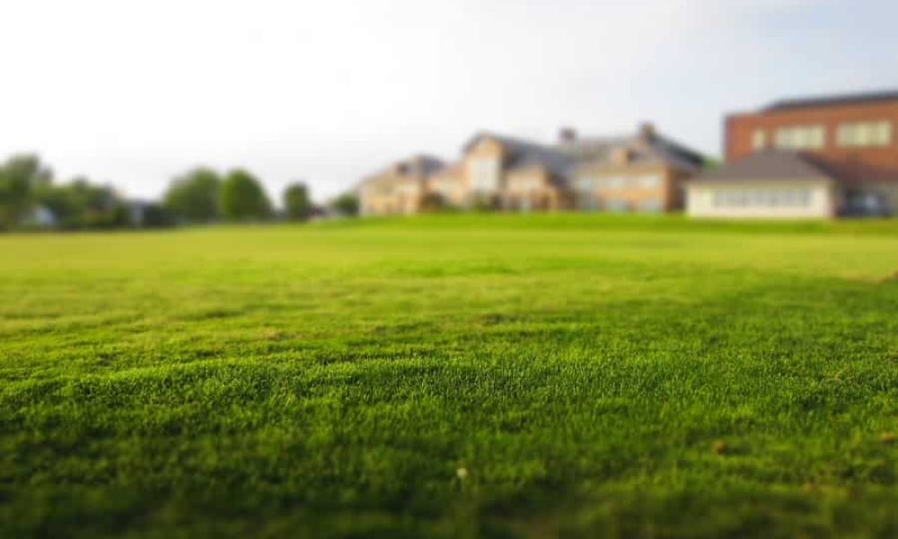 Les pesticides, les insecticides et les engrais sont touchés par une nouvelle réglementation. Photo : Pixabay