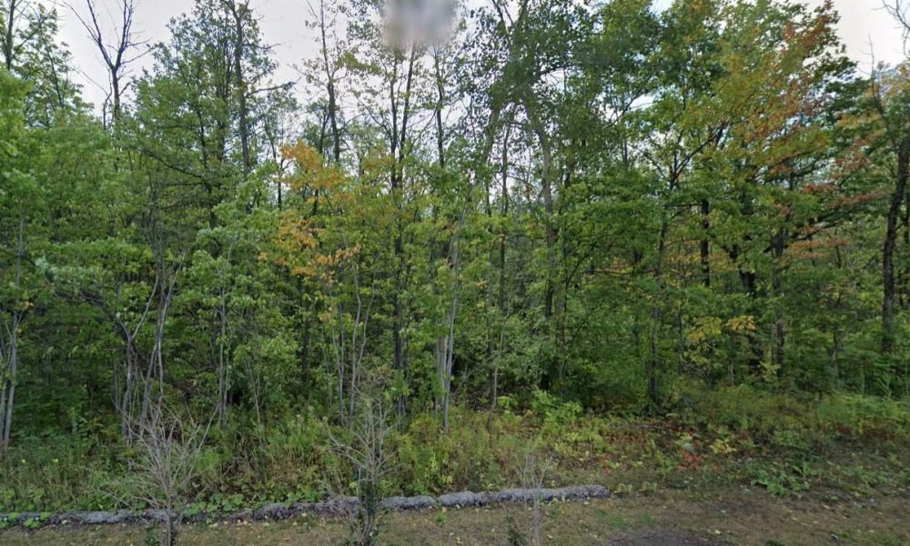 Longueuil protège plus de 541 hectares de milieux naturels