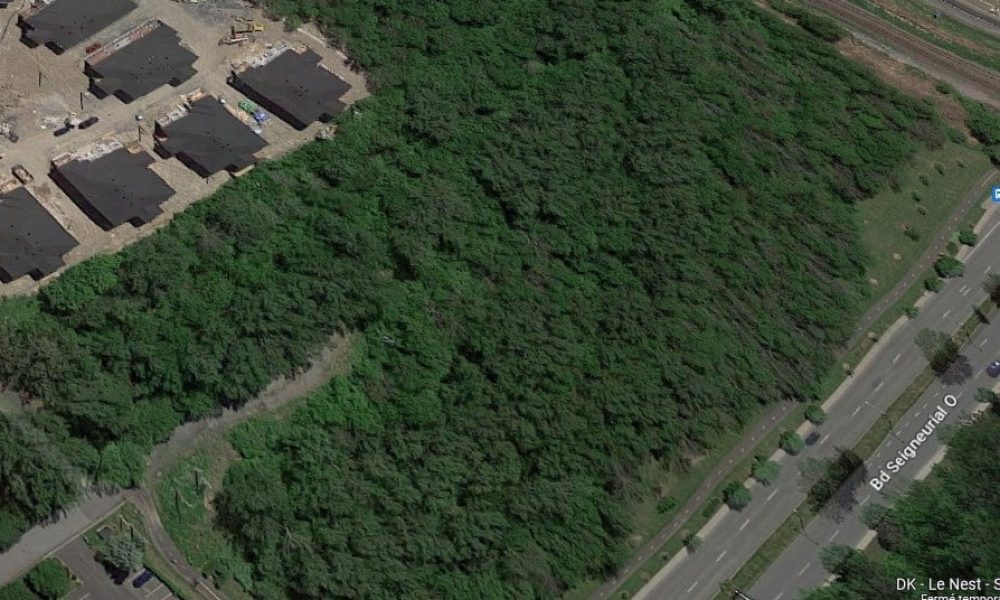 Saint-Bruno : Un registre pour l’achat du boisé des Tilleuls