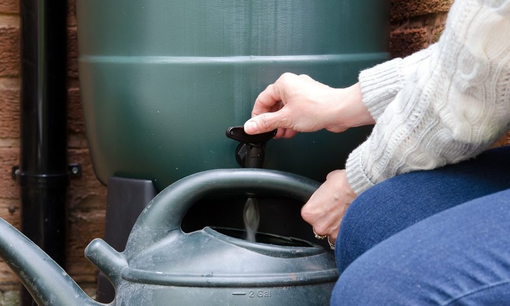 Baril récupérateur d'eau de pluie