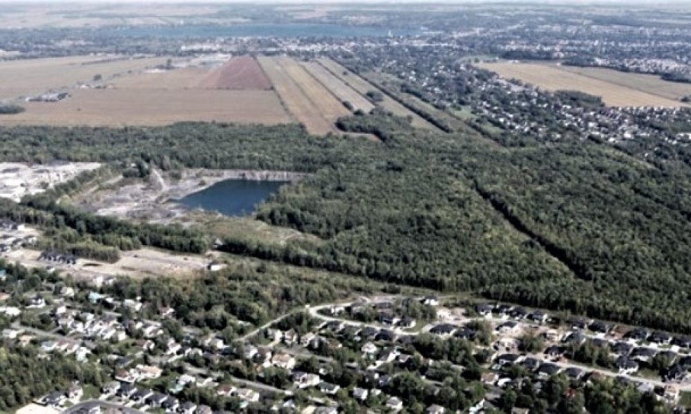Carignan est numéro un au Québec pour la vitalité économique.