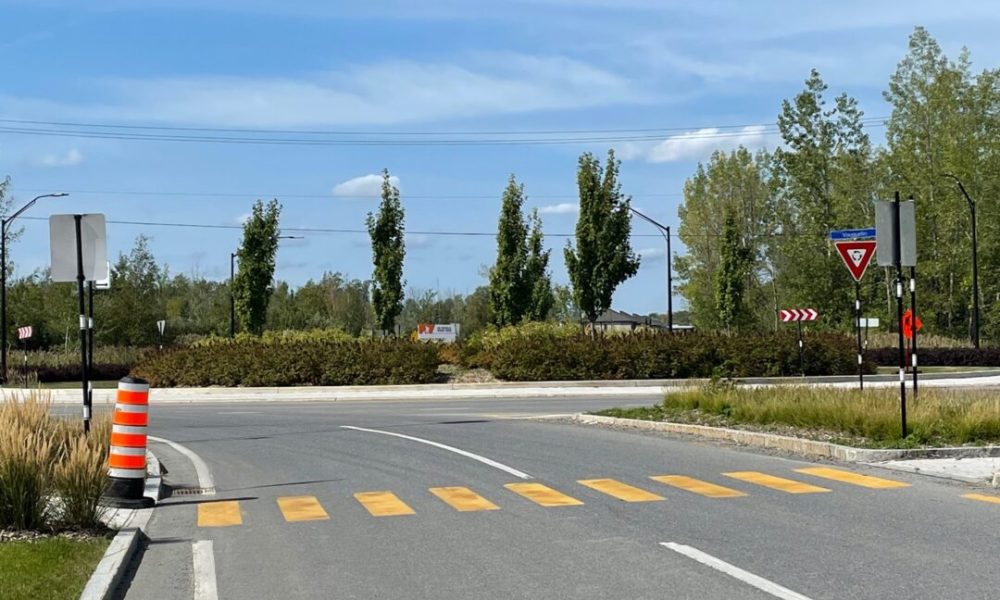 Rainette faux-grillon : Denis Trudel demande un décret d’urgence