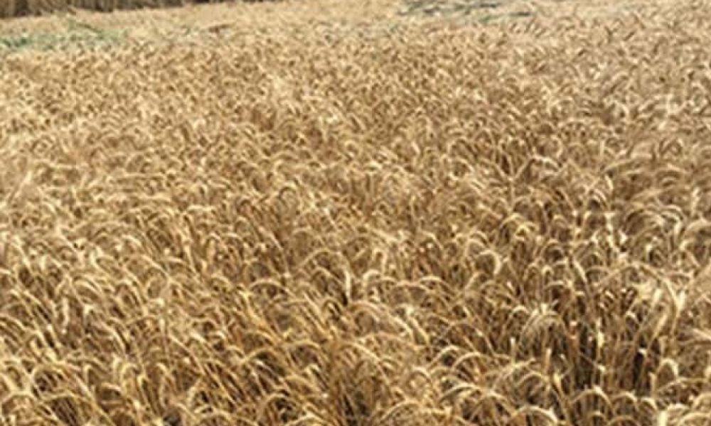 Une plainte anonyme déclenche une enquête sur Christian Overbeek