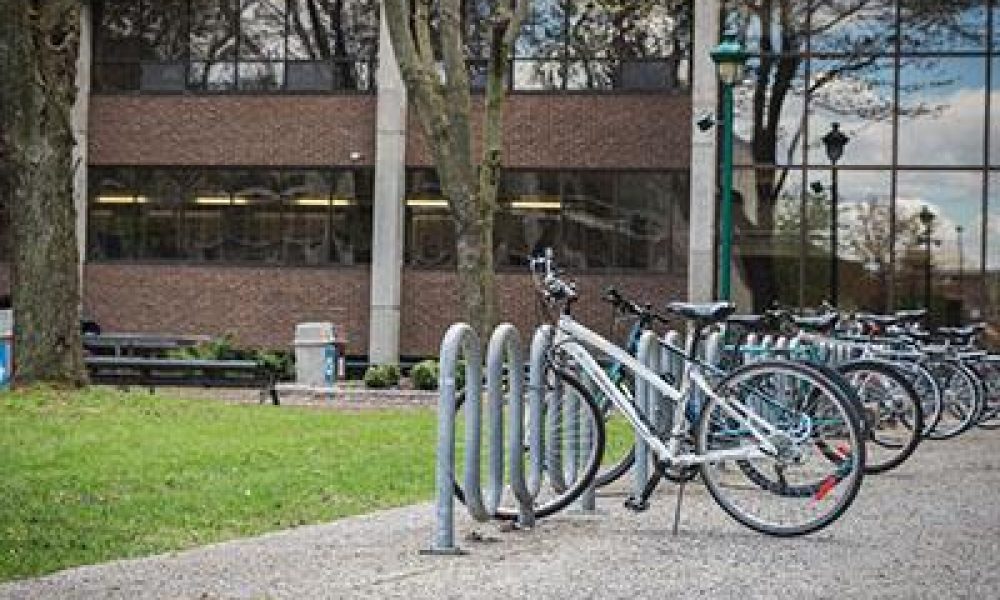 Source: Cégep Édouard-Montpetit