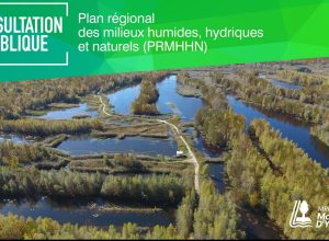 Une consultation en lien avec les milieux humides dans la MRC de Marguerite-D’Youville