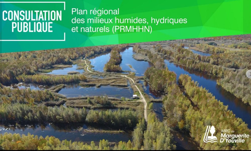 Une consultation en lien avec les milieux humides dans la MRC de Marguerite-D’Youville
