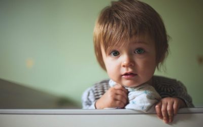 Garderie au parc du Frère-Alary : d’autres options présentées aux élus de Saint-Bruno