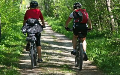 Deux cyclistes font du vélo sur une piste cyclable bordé d'arbres, ce qui inspirerait la trame verte de Beloeil.