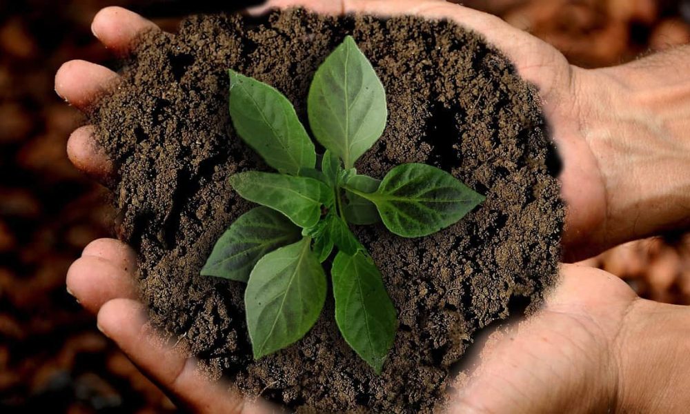 Un Rendez-vous printanier à ne pas manquer à Sainte-Julie 