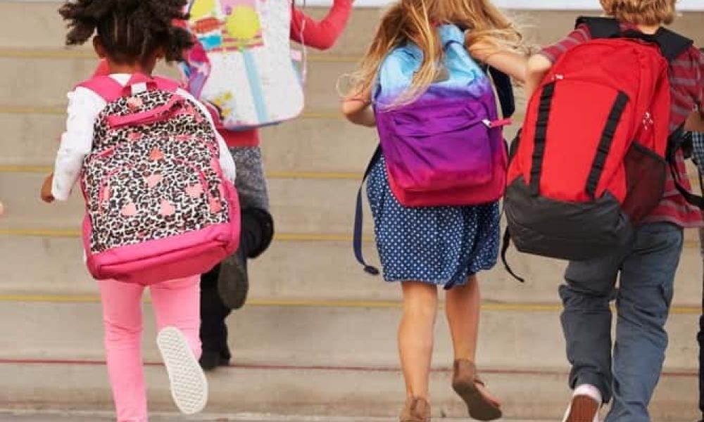 Les travaux commencent à l’école Marie-Victorin de Brossard