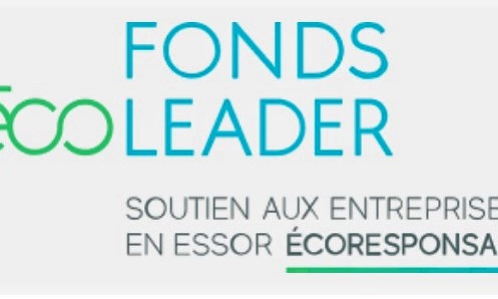 écoleader