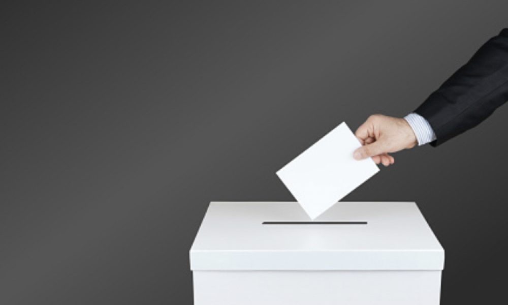 Élection à 12 candidats dans Marie-Victorin