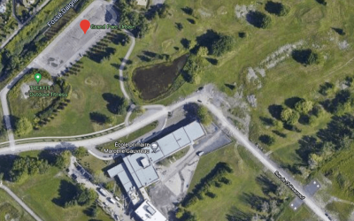 Des étangs problématiques à Brossard