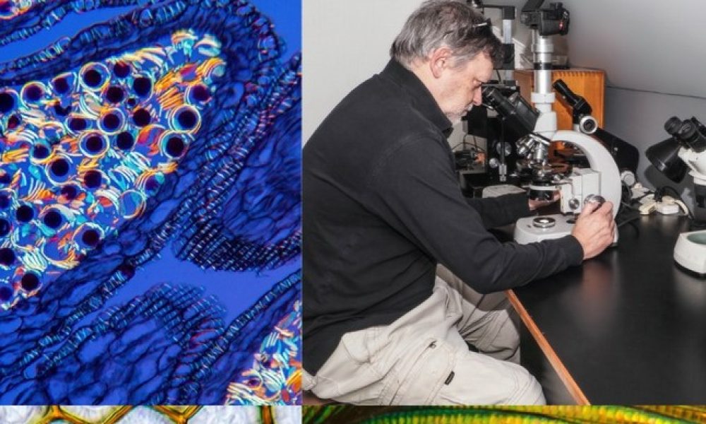 expo monde invisible