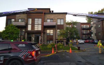 Photo : Sylvain Ryan photographe