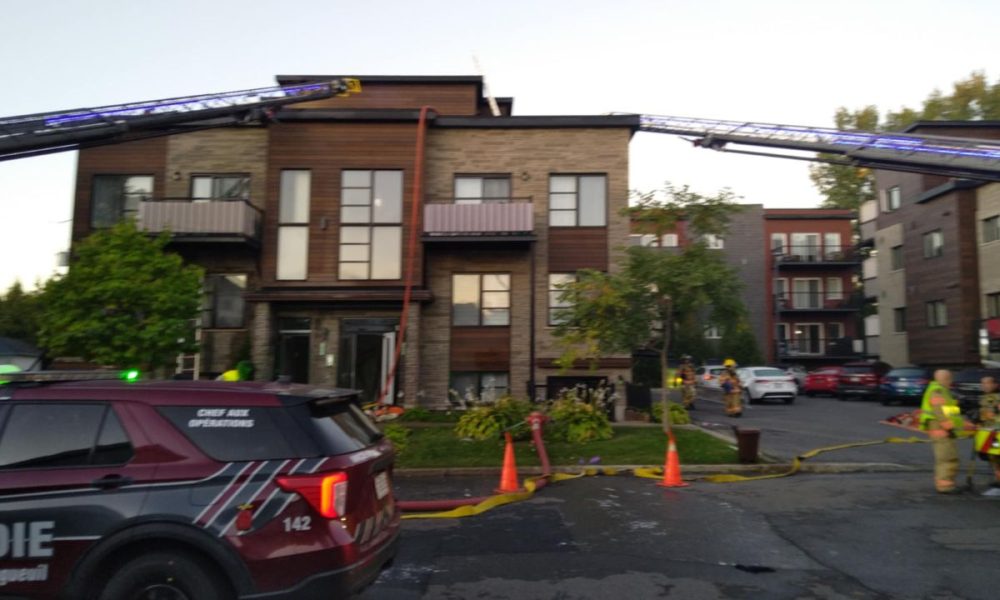 Photo : Sylvain Ryan photographe