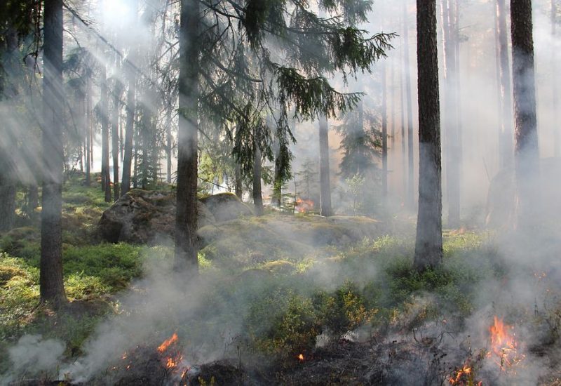Mauvaise qualité de l’air sur la Rive-Sud : les feux de forêt à blâmer