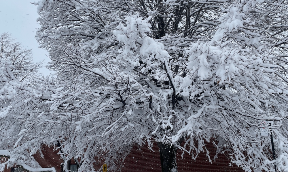 Voici le bilan de l'actualité de février 2022